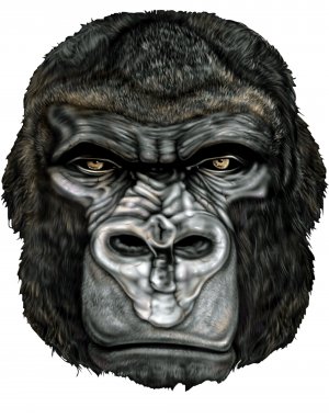 6" printed airbrushed  design gorilla vinyl decal sticker for any smooth surface.