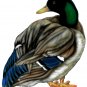 6" printed airbrushed  design duck vinyl decal sticker for any smooth surface.