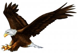 6" printed airbrushed  design eagle (2) vinyl decal sticker for any smooth surface.