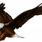 6" printed airbrushed  design eagle (2) vinyl decal sticker for any smooth surface.