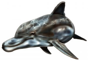 6" printed airbrushed  design dolphin vinyl decal sticker for any smooth surface.