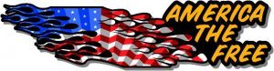 6" printed Military patrotic america the free decal sticker for any smooth surface.