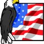 6" printed Military patriotic eagle on flag vinyl decal sticker for any smooth surface.