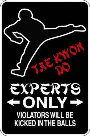 9"x12" SPT76 TAE KWON DO Aluminum Novelty Parking sign for indoor or outdoor use.