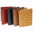 Men's Designer Wallet - Crocodile