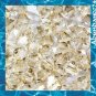 36 pcs Swarovski Crystal Elements 5328 5mm XILLION BICONE Beads GOLDEN SHADOW