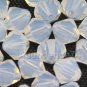 36 pcs Swarovski Crystal Elements 5301 5mm BICONE Beads Crystal WHITE OPAL