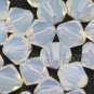 36 pcs Swarovski Crystal Elements 5301 5mm BICONE Beads Crystal WHITE OPAL