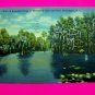 40s Postcard Linen Scene Greenfield Lake Park Wilmington North Carolina USA Old Colortone  Post Card