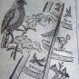 VTG Embroidery Patterns Anne Cabot Birds OF America Quilt 5748