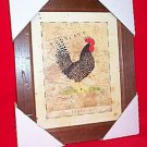 12 1/2"x10 1/2" ROOSTER PICTURE - THE SCOT'S GREY MIP
