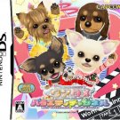 Wantame Variety Channel [Japan Import]
