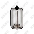 Niche modern glass pendant light / pendant lamp / Chandelier (HLP6005)-Clear color