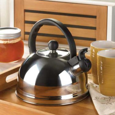 Stainless Steel Tea Kettle