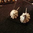 NEW.  Item 031.  White starlike earrings on wires.