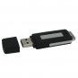 Big Capacity - 4GB Mini Portable Flash Drive Shape USB Voice Recorder