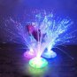 Color Changing Fiber Optic Nightlight Lamp Colorful Light