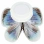 Colorful Butterfly Nightlight Lamp