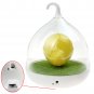 Kids Bedroom Decor Lovely LED Night Light Touch Sensor Birdcage Dimmable Lamp