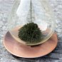 Iron Powder Magnet Hourglass With Iron Holder Desk Toy