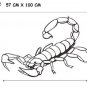 Scorpion SHAPE Background Free Style Black Color 57 cm x 100 cm Wall Sticker Decal Set