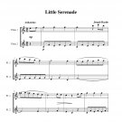 Haydn - Little Serenade