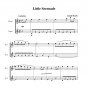 Haydn - Little Serenade