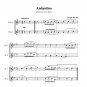 Haydn - Andantino