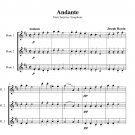 Haydn - Andante from Surprise Symphony