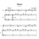 Haydn - Minuet (Hob. IX:11)