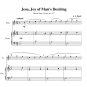 Bach - Jesu, Joy of Man’s Desiring