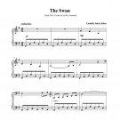 Saint-Saëns - The Swan (longer)