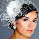 White Rhinestone BROOCH Fascinator Headpiece & BIRDCAGE Bridal VEIL  21 f58