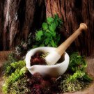 100 Natural Remedies Ebook