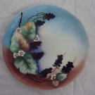 SEVRES BAVARIA HAND PAINTED PLATE 6 INCH