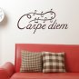 Carpe Diem Quotes DIY Wall Art Vinyl Decals Stickers home decor Seize the Day Words - Medium fg-6