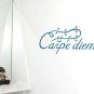 Carpe Diem Quotes DIY Wall Art Vinyl Decals Stickers home decor Seize the Day Words - Medium fg-6