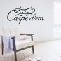 Carpe Diem Quotes DIY Wall Art Vinyl Decals Stickers home decor Seize the Day Words - Large fg-7