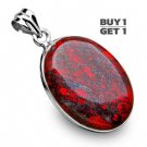 Buy 1 Get 1 - 1 3/4" 100% Natural Dinosaur Bone 925 Sterling Silver Pendant Art Jewelry Charm