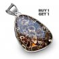 Buy 1 Get 1 - 2" 100% Natural Turritella Agate 925 Sterling Silver Pendant Art Jewelry
