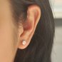 Tiny Camellias Flower Earrings Stud in Matte Sterling Silver