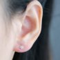 Back to Basic - Ultra Mini Cherry Blossom Earrings Stud in Sterling Silver