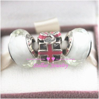 925 Sterling Silver A PRECIOUS GIFT Charms Gift Set - fits European Beads Bracelets