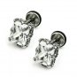 Pair Surgical Stainless Steel Rectangle Clear CZ Dragon Claw Mens Gothic Screw Back Earrings