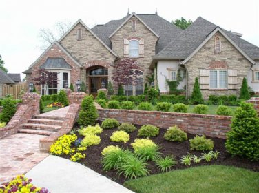 Shrubs