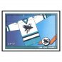 1991-92 OPC SAN JOSE SHARKS TEAM SET - 11 Cards