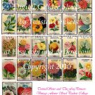 Vintage Flower Seed Packets Collage Sheets - Pick 1 of 2