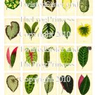 Vintage Tropical Leaf or Tree Prints Collage Sheets - Pick 1 of 2