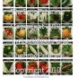 Vintage Vegetable Seed Packets Collage Sheet - Pick 1 of 5