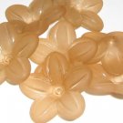 Hand Dyed 20mm Camel Lucite Daisy Flowers (df20mm7)